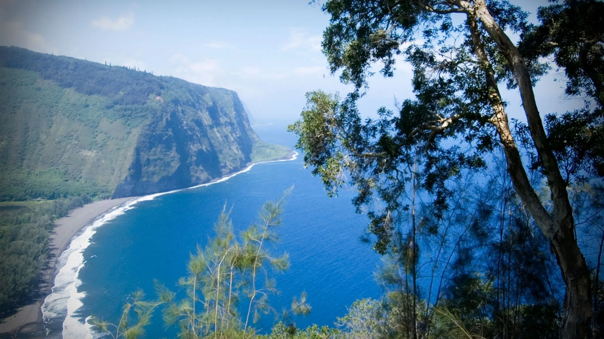 A scenic view of the ocean and rugged cliffs from a hilltop, showcasing the natural beauty of the coastline.